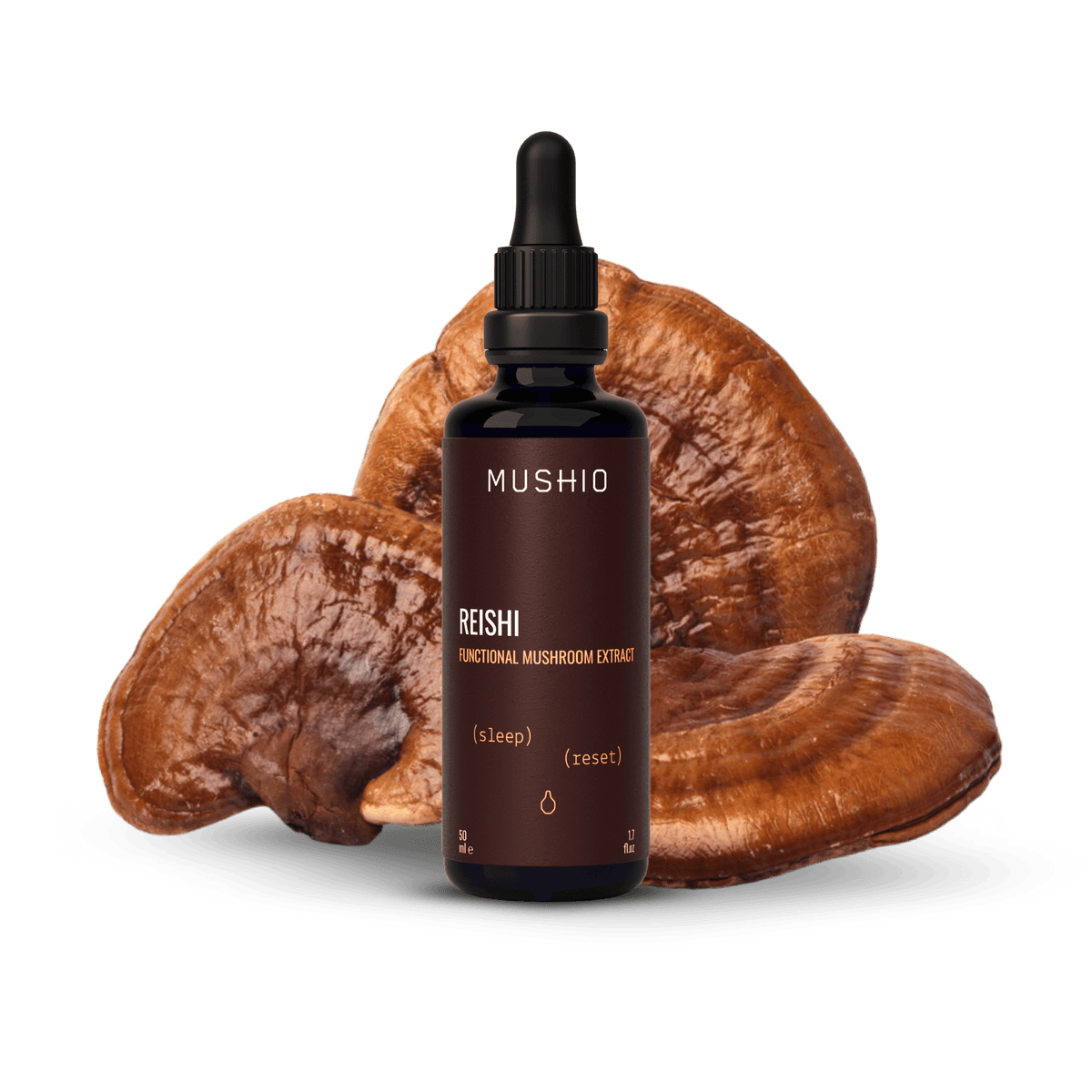 Reishi Extract