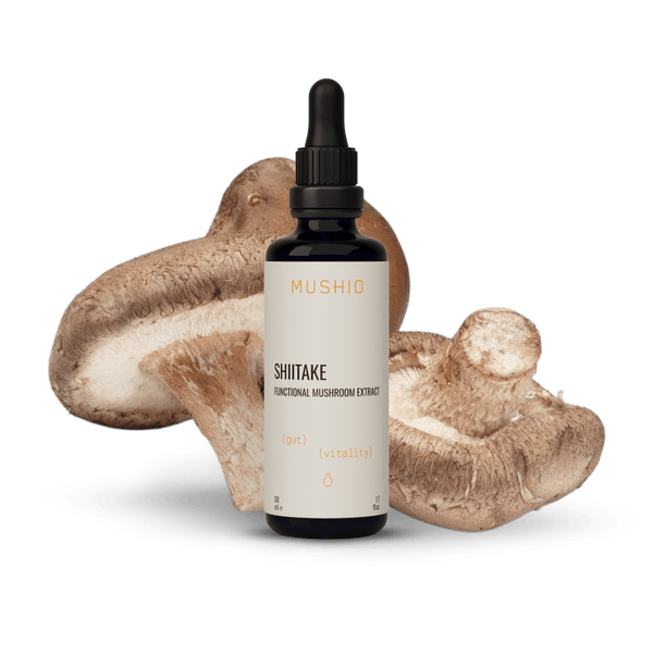 Shiitake Extract