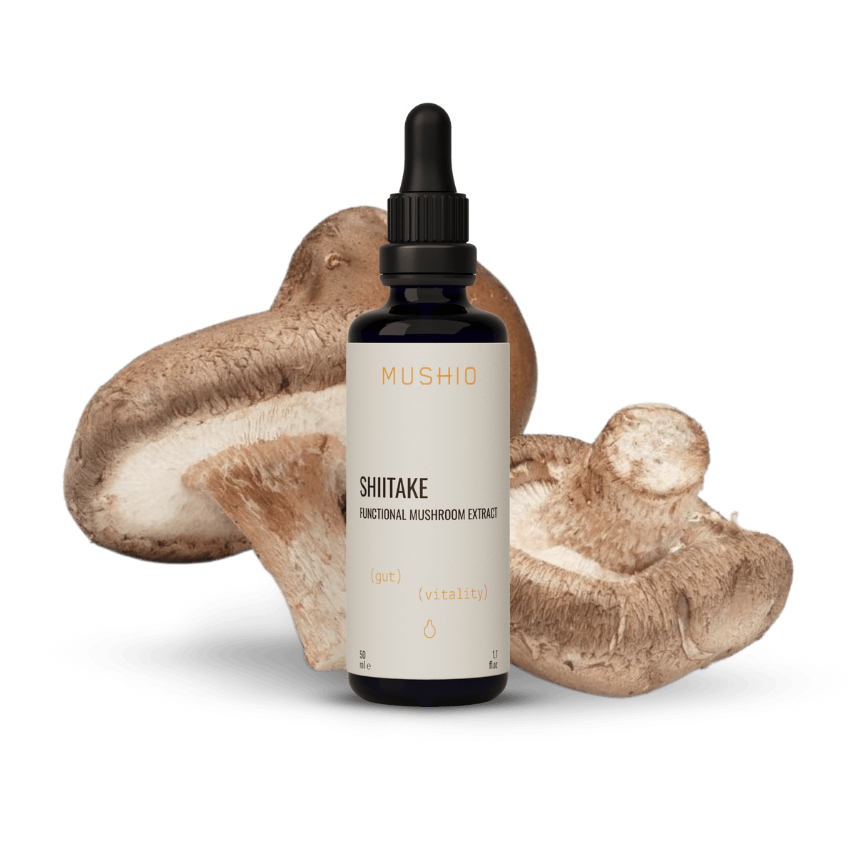 Shiitake Extract